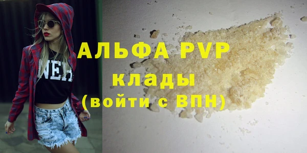 spice Богданович