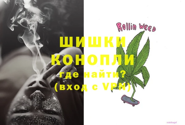 spice Богданович