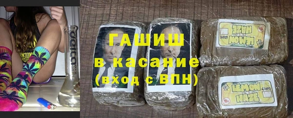 spice Богданович