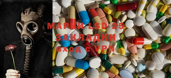 spice Богданович