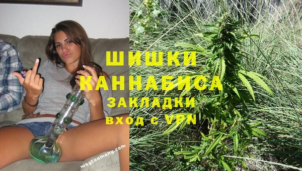 spice Богданович